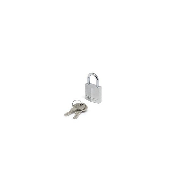 Cadenas à  clés MASTER LOCK en Aluminium Massif 9130EURDCC Gris