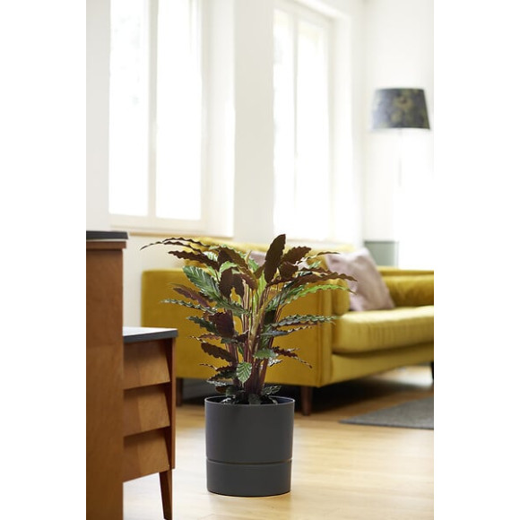 Pot de fleurs rond Aquaduo de 285 cm gris anthracite