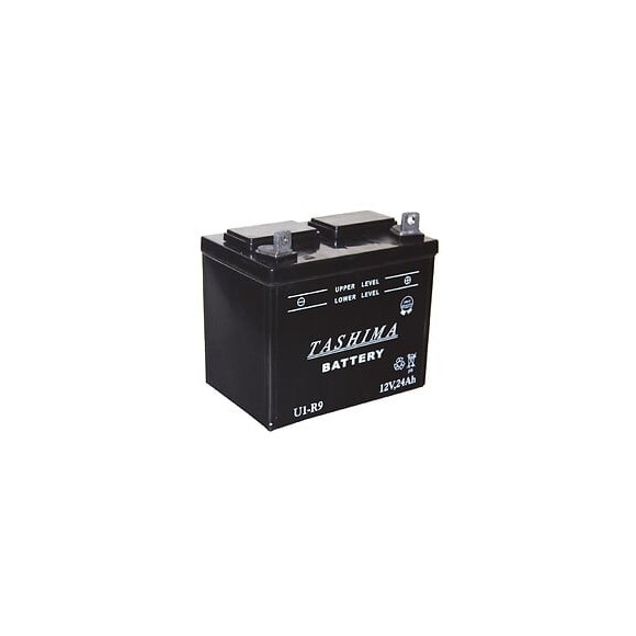 Batterie pour tondeuse autoportée 12V 24.0Ah U1R9