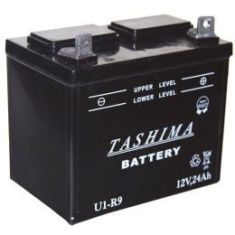 Batterie pour tondeuse autoportée 12V 24.0Ah U1R9