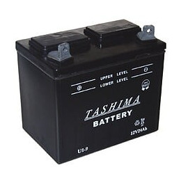 Batterie pour tondeuse autoportée 12V 24A U1L9