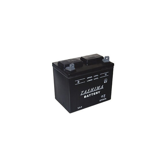 Batterie pour tondeuse autoportée 12V 24A U1L9