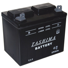 Batterie pour tondeuse autoportée 12V 24A U1L9