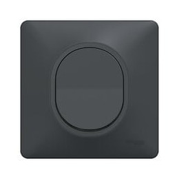 Ovalis - Monobloc - Bouton poussoir à  fermeture - 10A - Anthracite