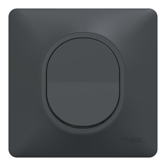 Ovalis - Monobloc - Bouton poussoir à  fermeture - 10A - Anthracite