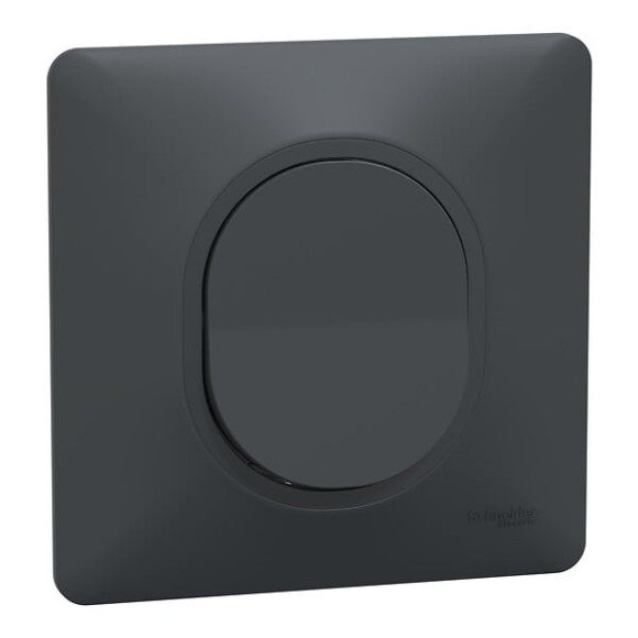 Ovalis - Monobloc - Bouton poussoir à  fermeture - 10A - Anthracite