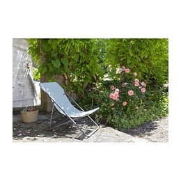 Transat de jardin - Format maxi - Tilleul - 62cm