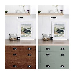 Peinture Relook Meubles - Vert Sauge - 02L