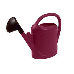 Arrosoir ovale 6L prune