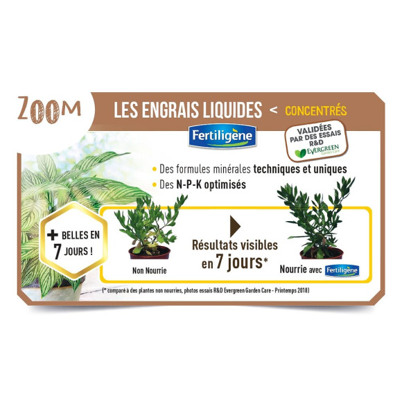 Engrais plantes vertes Fertiligène - 400 ml