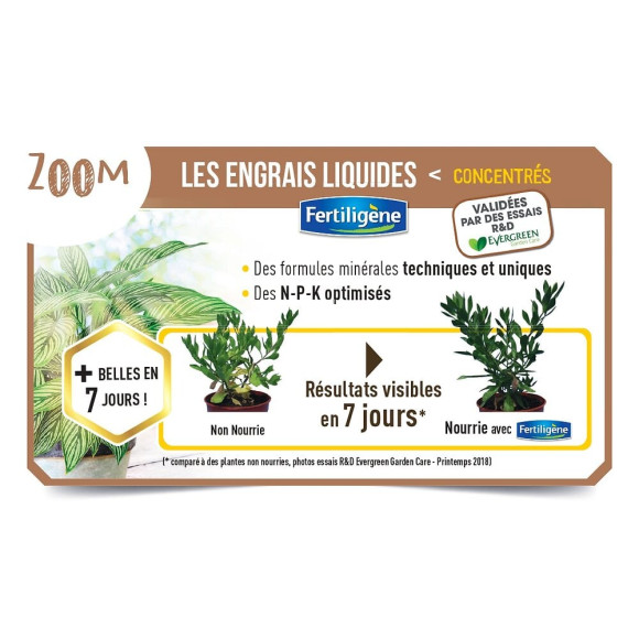 FERTILIGENE Engrais Liquide Agrumes et Plantes Méditerranéennes 750 ml