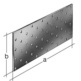 Platine multi-trous galvanisée sendzimir - 200x80x2mm