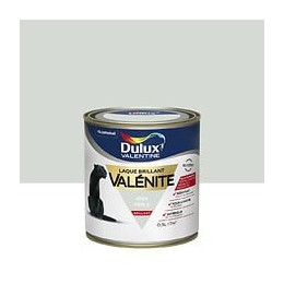 Peinture Laque Valénite - Gris Perle - Brillant - 05L