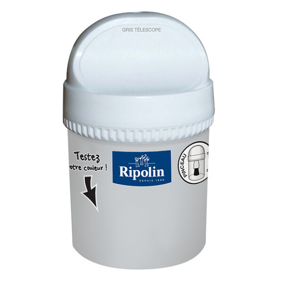 Testeur Peinture RIPOLIN Esprit Déco Gris télescope 75Ml