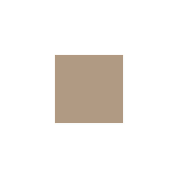 Peinture bois - Beige moka RAL 1019 - 25L