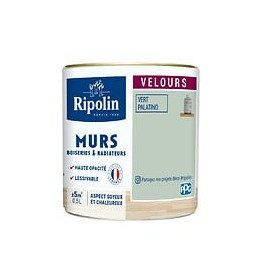 Peinture RIPOLIN Deco Velours murs boiseries radiateurs vert pala 05L