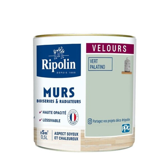 Peinture RIPOLIN Deco Velours murs boiseries radiateurs vert pala 05L