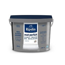 Peinture mur et plafond RIPOLIN mat parfait blanc 5L