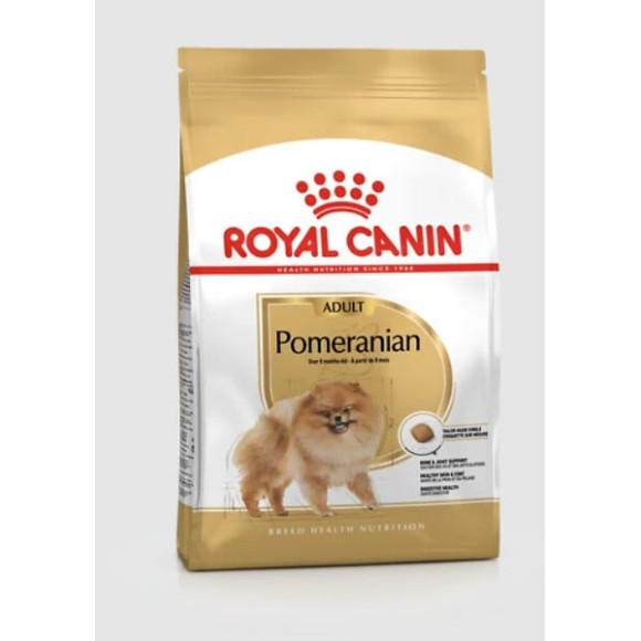 Pomeranian adult 1.5KG