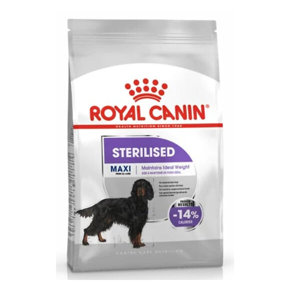 Medium sterilised adult 12KG