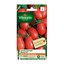 TOMATE ROMA VILMORIN