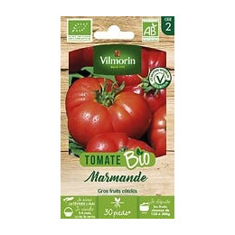 Tomate Marmande bio Vilmorin