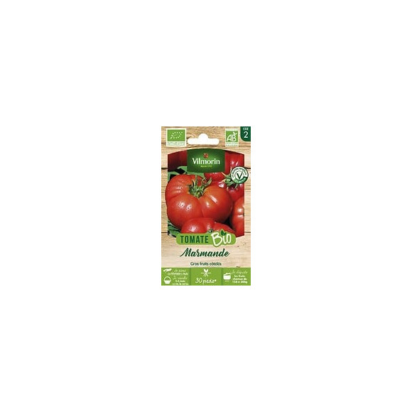 Tomate Marmande bio Vilmorin