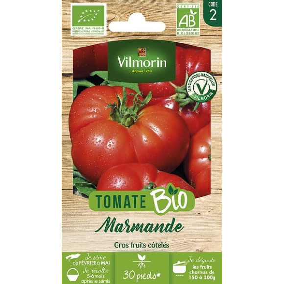 Tomate Marmande bio Vilmorin