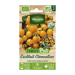 Tomate cerise orange clémentine bio Vilmorin