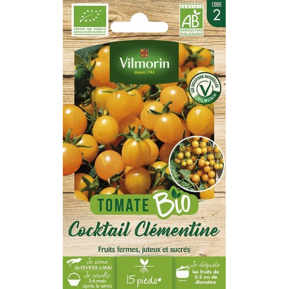 Tomate cerise orange clémentine bio Vilmorin