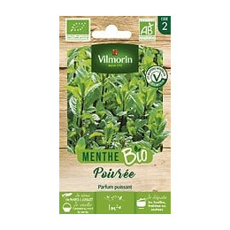 Menthe poivrée bio Vilmorin