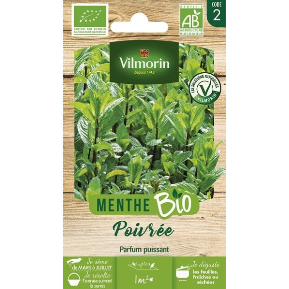 Menthe poivrée bio Vilmorin