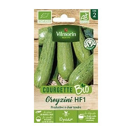 Courgette greyzi bio vert clair Vilmorin