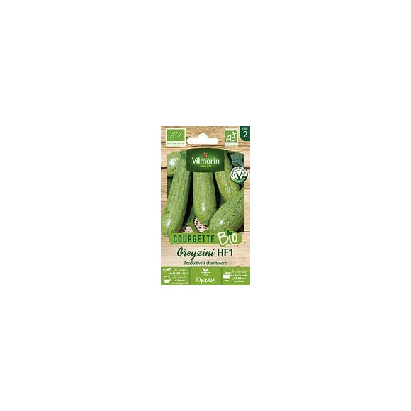 Courgette greyzi bio vert clair Vilmorin