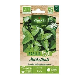 Basilic marseillais bio Vilmorin