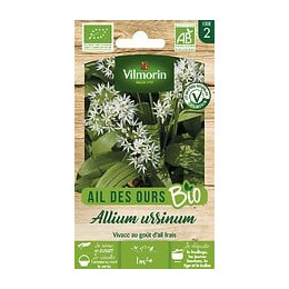 Ail des ours bio Vilmorin