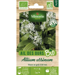 Ail des ours bio Vilmorin