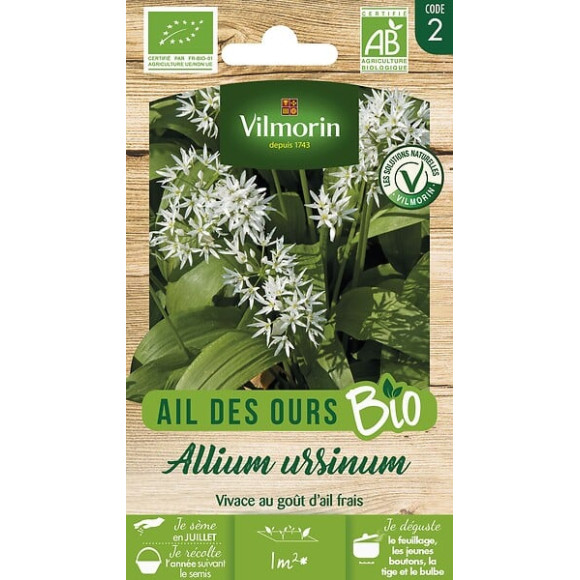 Ail des ours bio Vilmorin