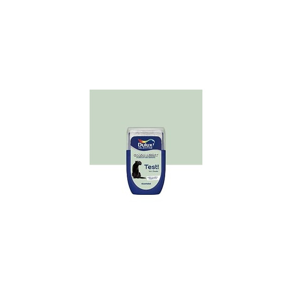 Testeur Dulux Valentine Color Resist Mur et Boiserie Vert Saule 003L