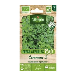 Persil commun 2 bio Vilmorin