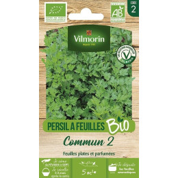 Persil commun 2 bio Vilmorin