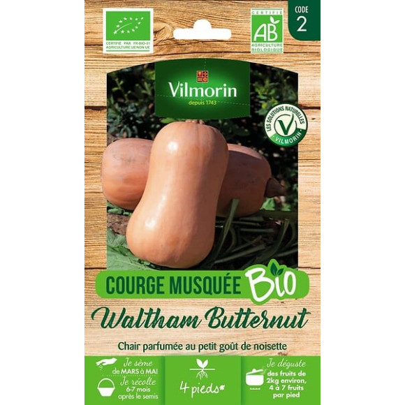 Courge butternut bio v 2g