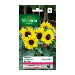 Tournesol suntastic f1