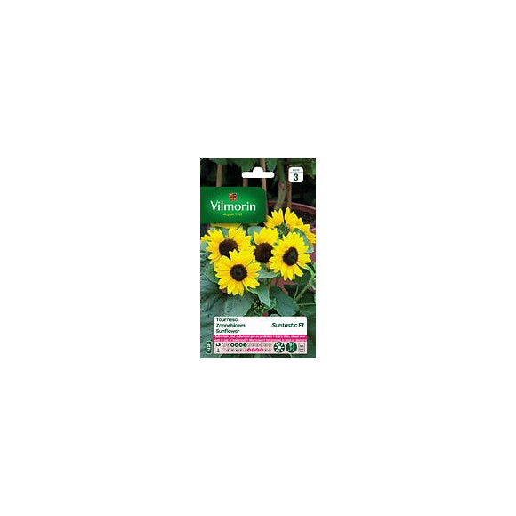 Tournesol suntastic f1