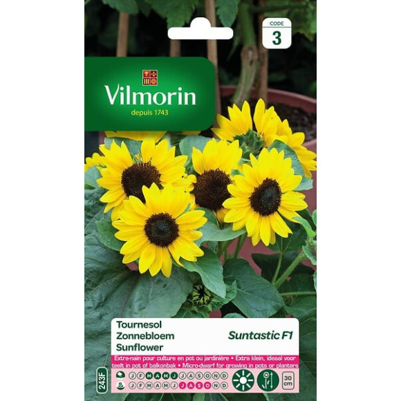 Tournesol suntastic f1