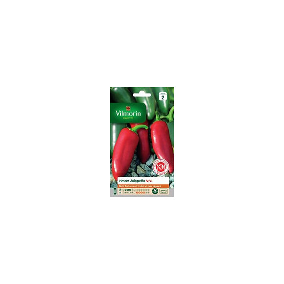 Piment jalapeno Vilmorin