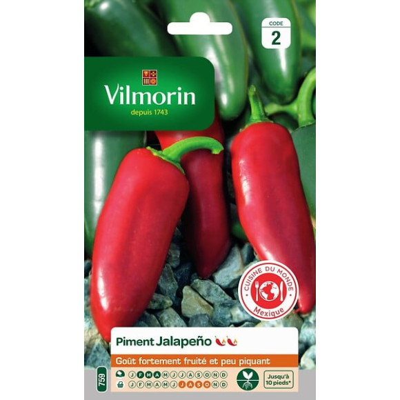 Piment jalapeno Vilmorin