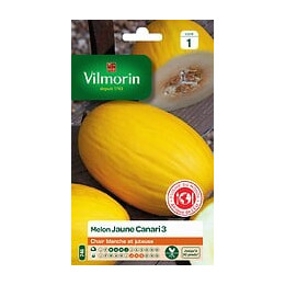 Melon jaune canari 3 Vilmorin