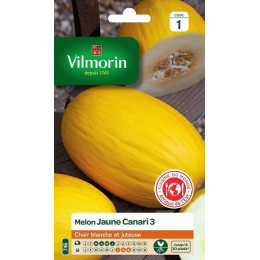 Melon jaune canari 3 Vilmorin