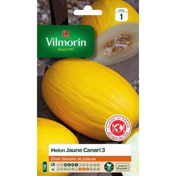 Melon jaune canari 3 Vilmorin